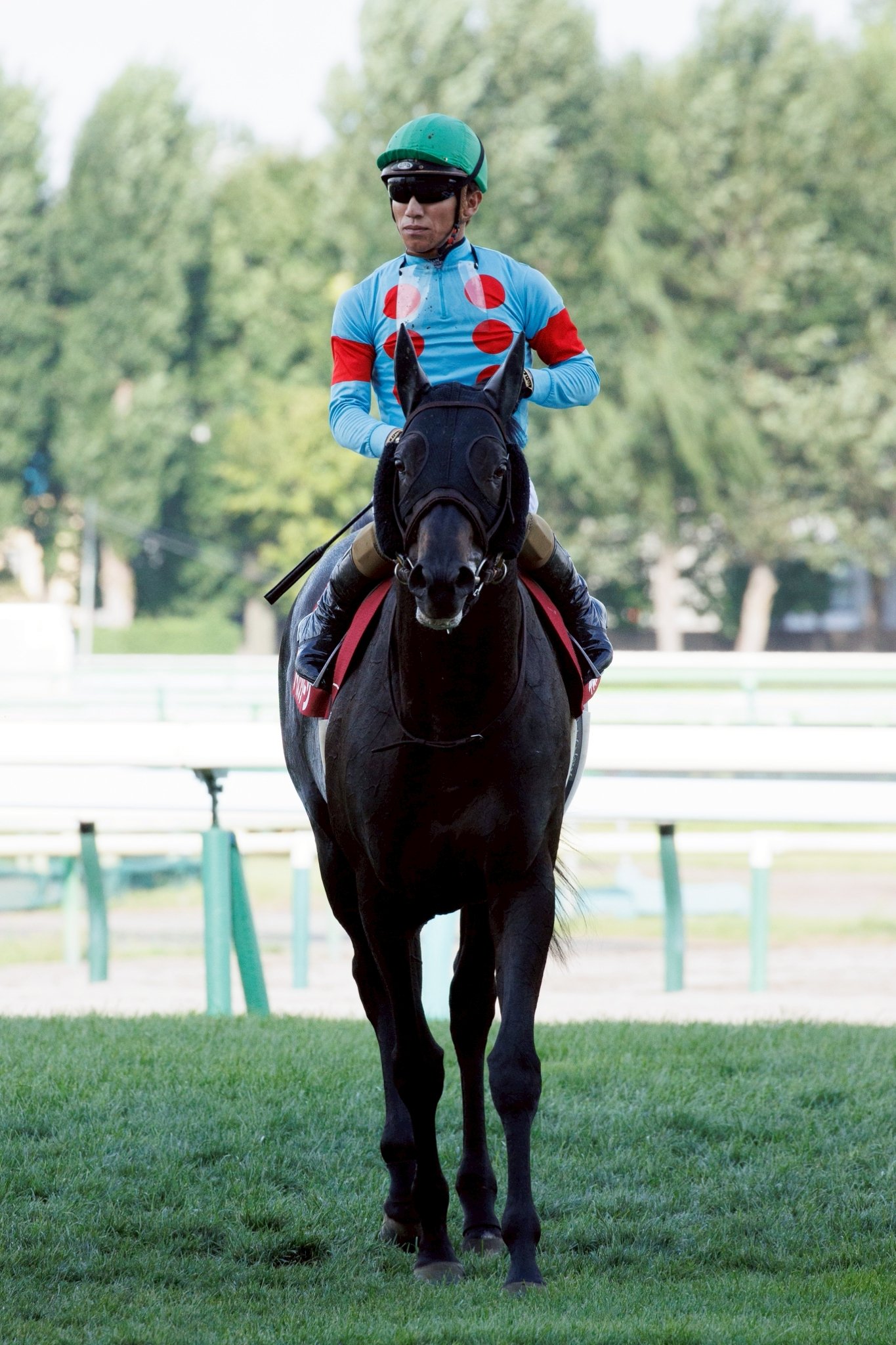 2017 ワールドオールスタージョッキーズ　オリジナルステンレスボトル　競馬 地方競馬全国協会(NAR)公式 on X: 