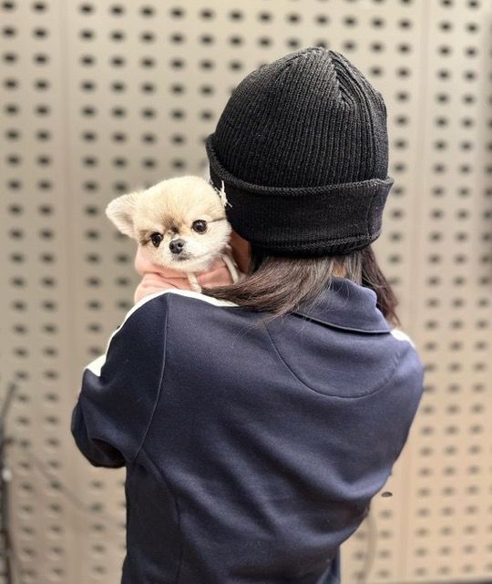 Aurilvoe's tweet image. ㅤ
Today's activities for #REMNANTS bersama Kak Jay! Tebak-tebak berhadiah, akan ada kejutan apa dari kita?! 🤪
ㅤ