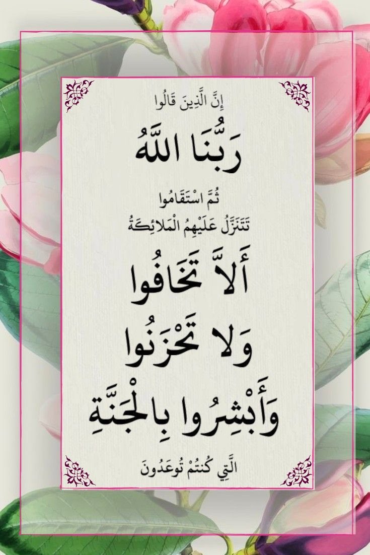 ابو عبد القادر (@sbr4w3wkcrbv9jk) on Twitter photo 