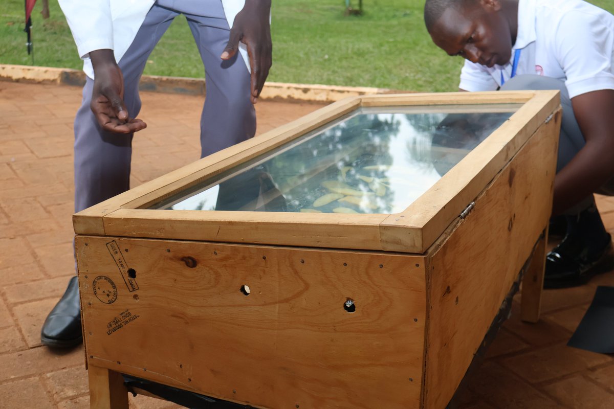 upstu_2019's tweet photo. 👏 Acaba SS takes the stage with their Solar Fruit Dryer innovation! ☀️🍍🍌

This cost-effective solution enhances post-harvest handling, producing high-quality dried fruits & vegetables while reducing losses and contamination. A powerful step for food security! 🌍💡
#UPSTUScienceInAction #ScienceCompetitionUG
@Educ_SportsUg