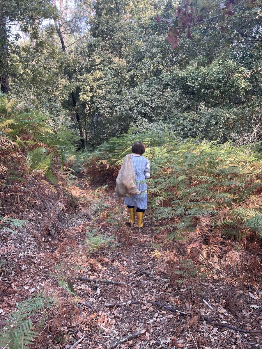 Cristina Vázquez. tweet media