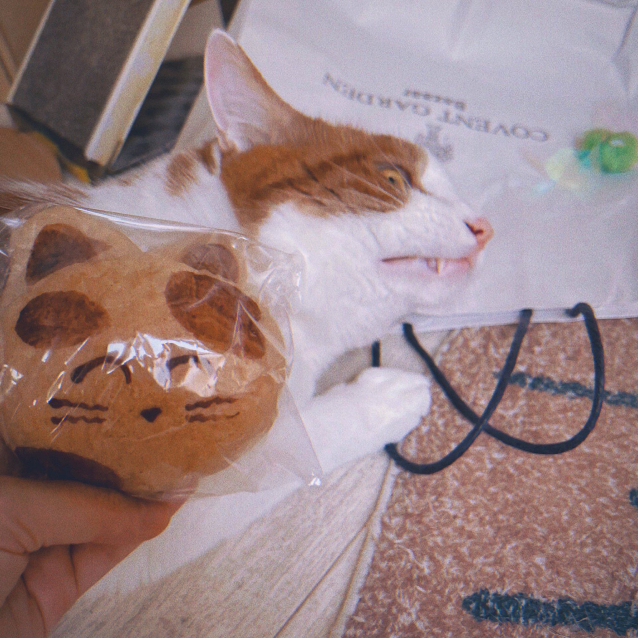 CAT & BAKES 9456 （キャットアンドベイクスグシコロ