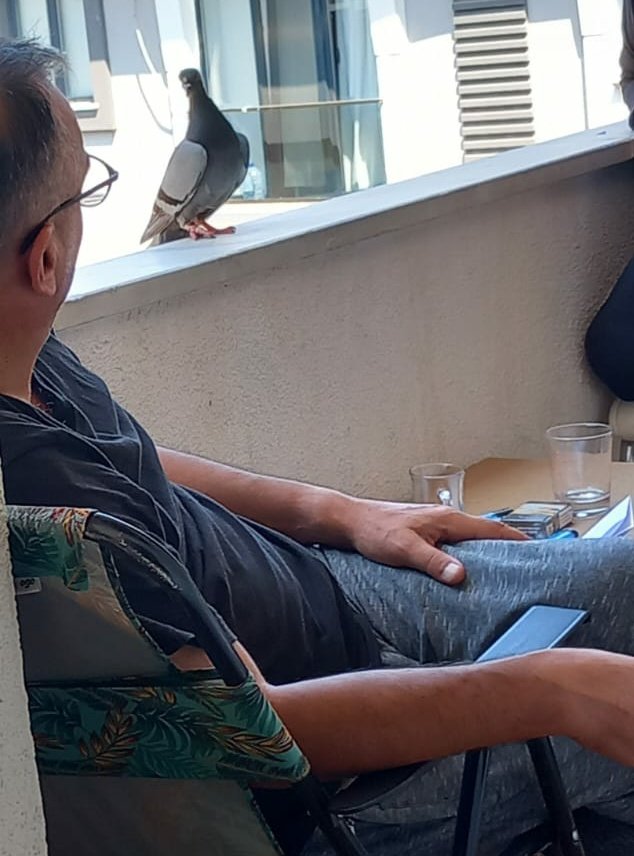 Öylece bakışıyoruz işte her sabah, o ayağına dolanan ipin acısını anlatmaya çalışıyor, ben yavrumsuz uyandığım sabahların ızdırabını...
#cumartesi