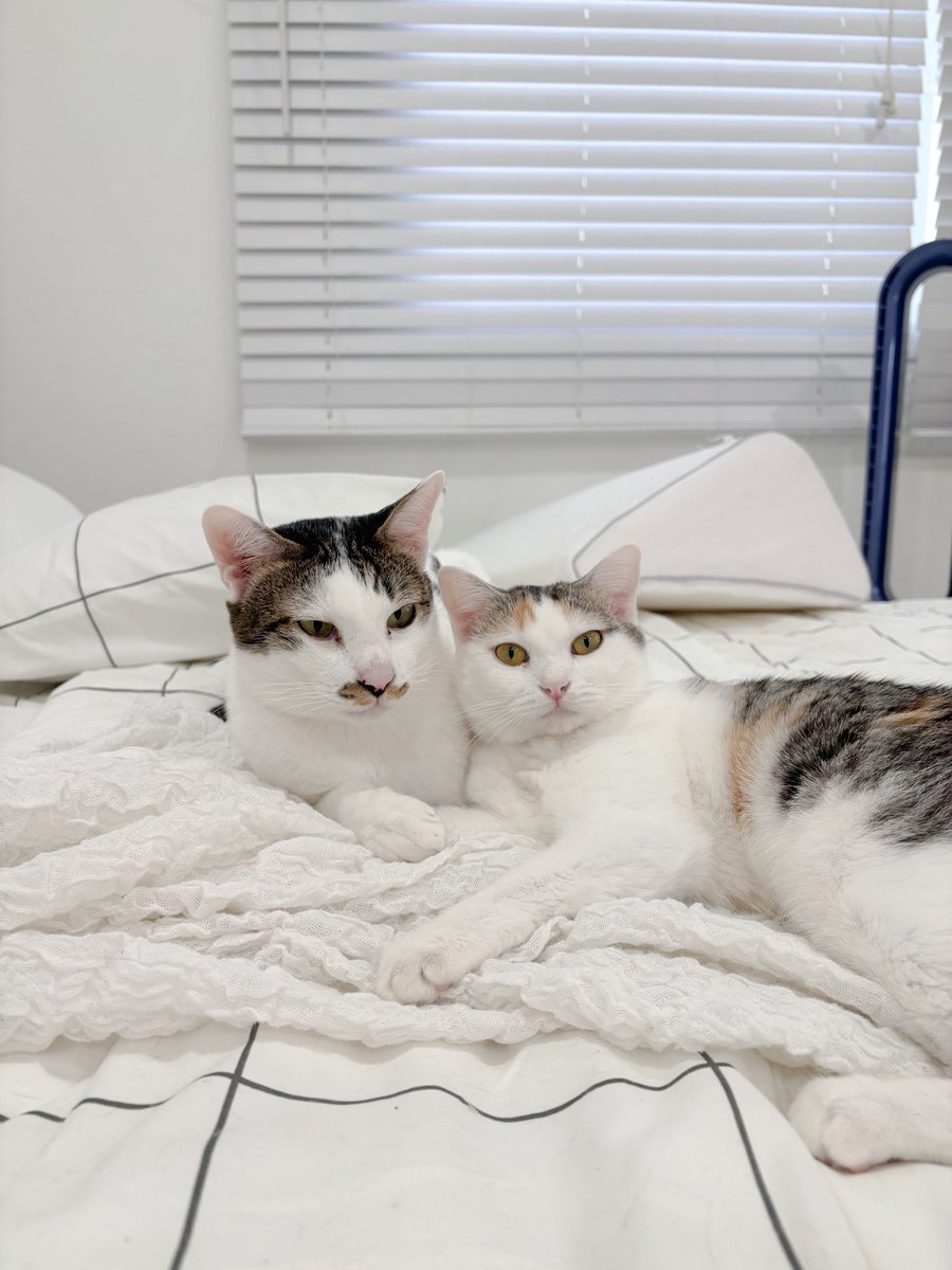 ลุงหนวดดูแลเด็กๆ🤏🏻🤣