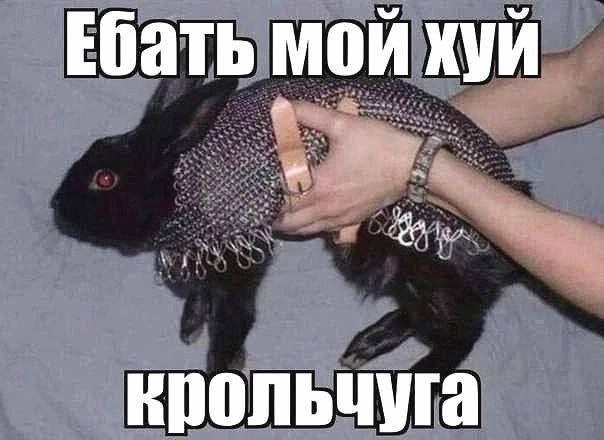 Nickro (@nickro666) on Twitter photo 