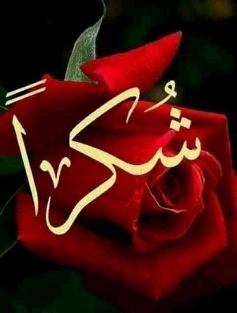 𝗠𝗘𝗠𝗘 || مٍـيـمٍـي (@wwenrv) on Twitter photo <a href="/16500F/">الإدارة (برق للدعم والسوالف)</a> <a href="/lii12_9/">سمو إحساس🤍💙</a> <a href="/ffewmiisf/">آمنــية ••❥༄ ♡. </a> <a href="/MdSmRm/">حروف الوصل مغردة محظورة</a> باقات من الورود والزهور ابثها لكم على دعمكم وتميزكم الراقي لنا شكرا بحجم السماء ادارتنا المميزه🦋♥️ <a href="/16500F/">الإدارة (برق للدعم والسوالف)</a> <a href="/lii12_9/">سمو إحساس🤍💙</a> <a href="/ffewmiisf/">آمنــية ••❥༄ ♡. </a> <a href="/MdSmRm/">حروف الوصل مغردة محظورة</a> باقات من الورود والزهور ابثها لكم على دعمكم وتميزكم الراقي لنا شكرا بحجم السماء ادارتنا المميزه🦋♥️