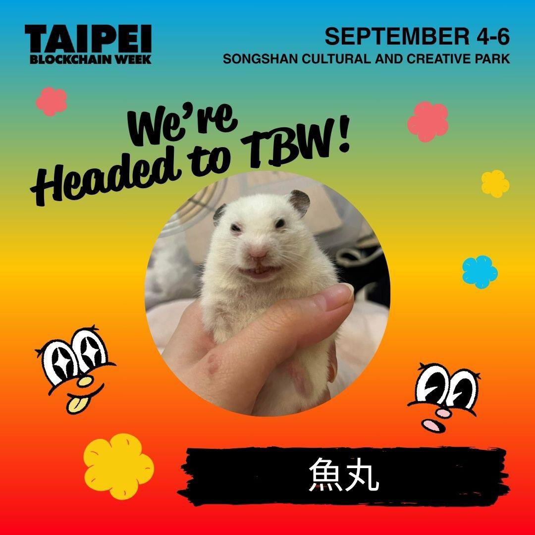 👉👉抽五張 TBW 門票👈👈

>>抽獎規則在文末 要看到底呦<<

不敢想不敢想！魚丸竟然也受邀參加 TBW 了！！
特別感謝 <a href="/blockjengirl/">Jen Jen 👅🩸Aura Queen 🩵</a> 邀請😭😭

去年區塊鏈週的時候我還誰都不認識
魚丸也還沒有誕生🥵
就沒有去了
但一直很想去看看 現在終於有機會了！
我也會在 Bitget 的攤位上幫忙 可以來找我玩