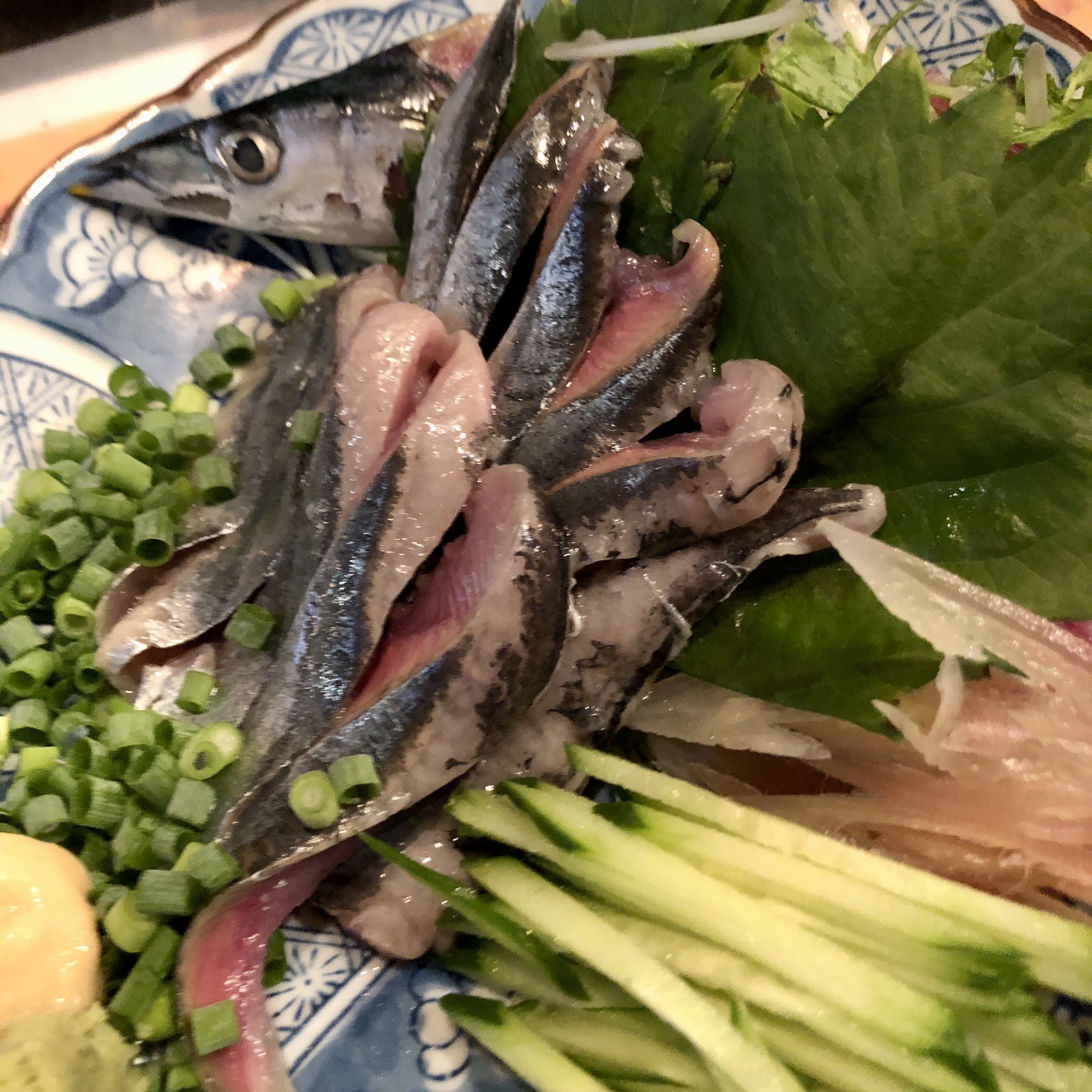 初サンマ - البحث / X