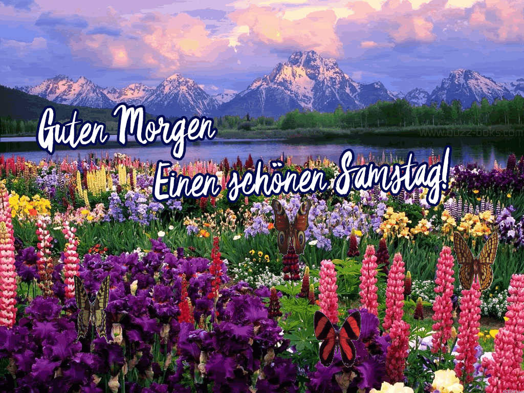 Conny (@bollcornelia) on Twitter photo 