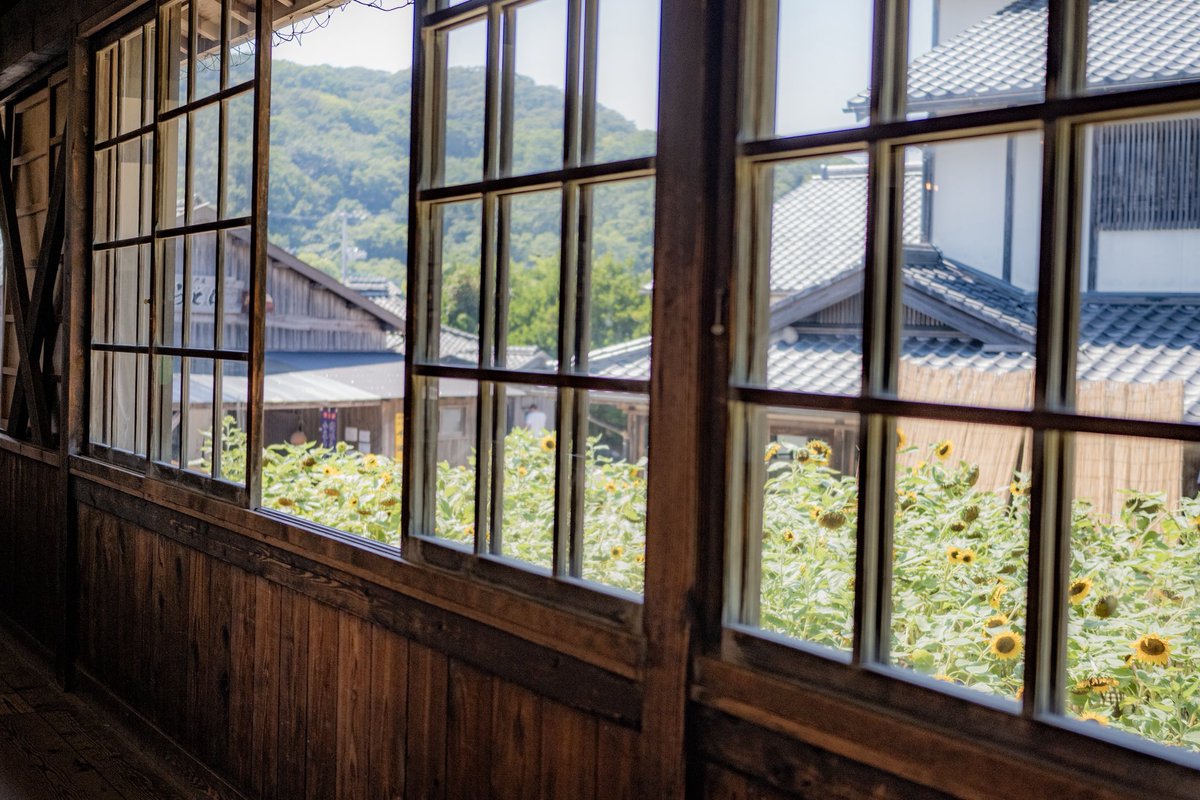 あの頃の夏休み