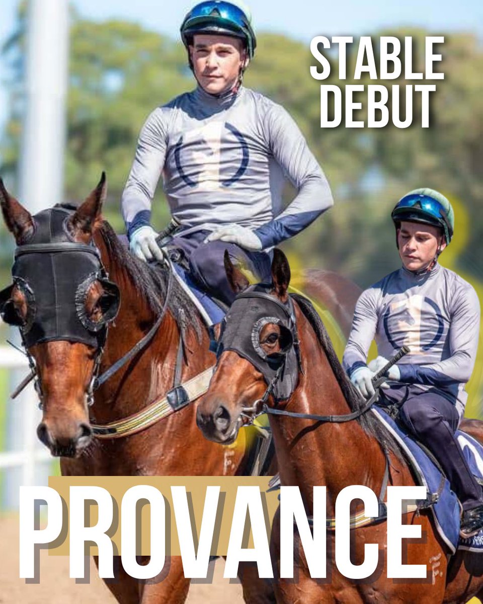 OneSyndications's tweet photo. 🐎 It’s a HUGE night for the team

 Now that the Group 1’s are out of the way, we’re excited to see PROVANCE make his debut for the Mark Currie Racing team 🤝🏼

We think the change will do him the world of good to find his old form 

Toowoomba | Race 5 | BM65 | 1200m https://t.co/laWffTiiM0