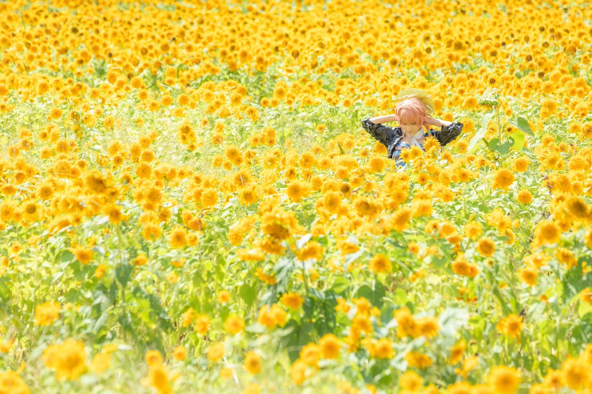 sigh🐇 tweet media