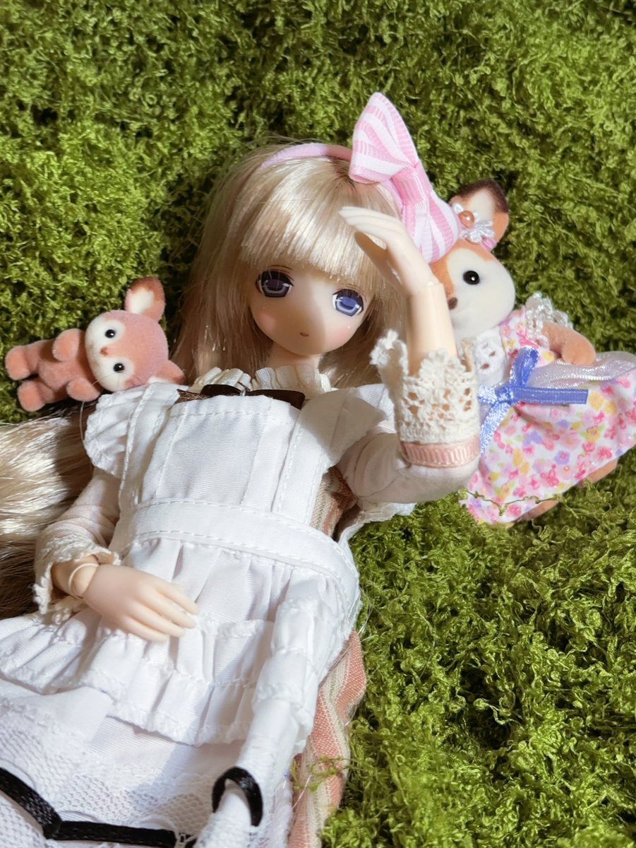 LotCache's tweet photo. Mio宝宝…… #azone https://t.co/jYpnNKYWlz