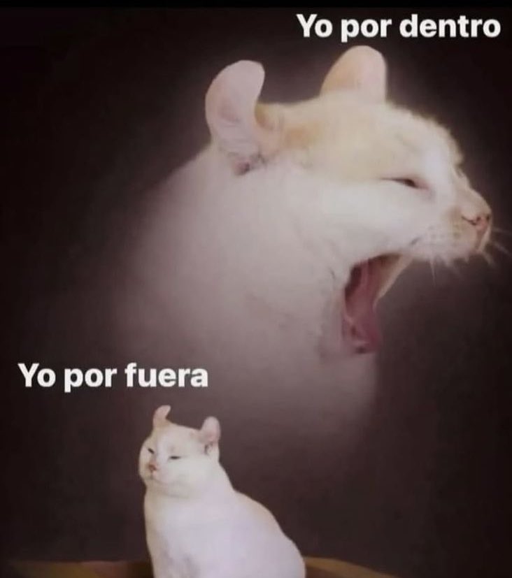 suchinis_'s tweet image. #TemblorGT