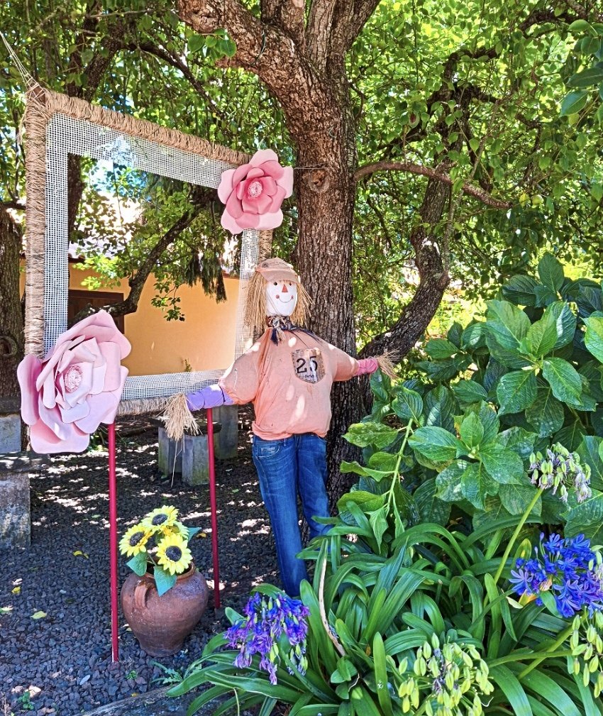 Happy weekend! 🥳
"I shall ask for brains instead of a heart; for a fool would not know what to do with a heart if he had one." in The Wizard of Oz
#weekendmood
#MadeiraIslands🏝