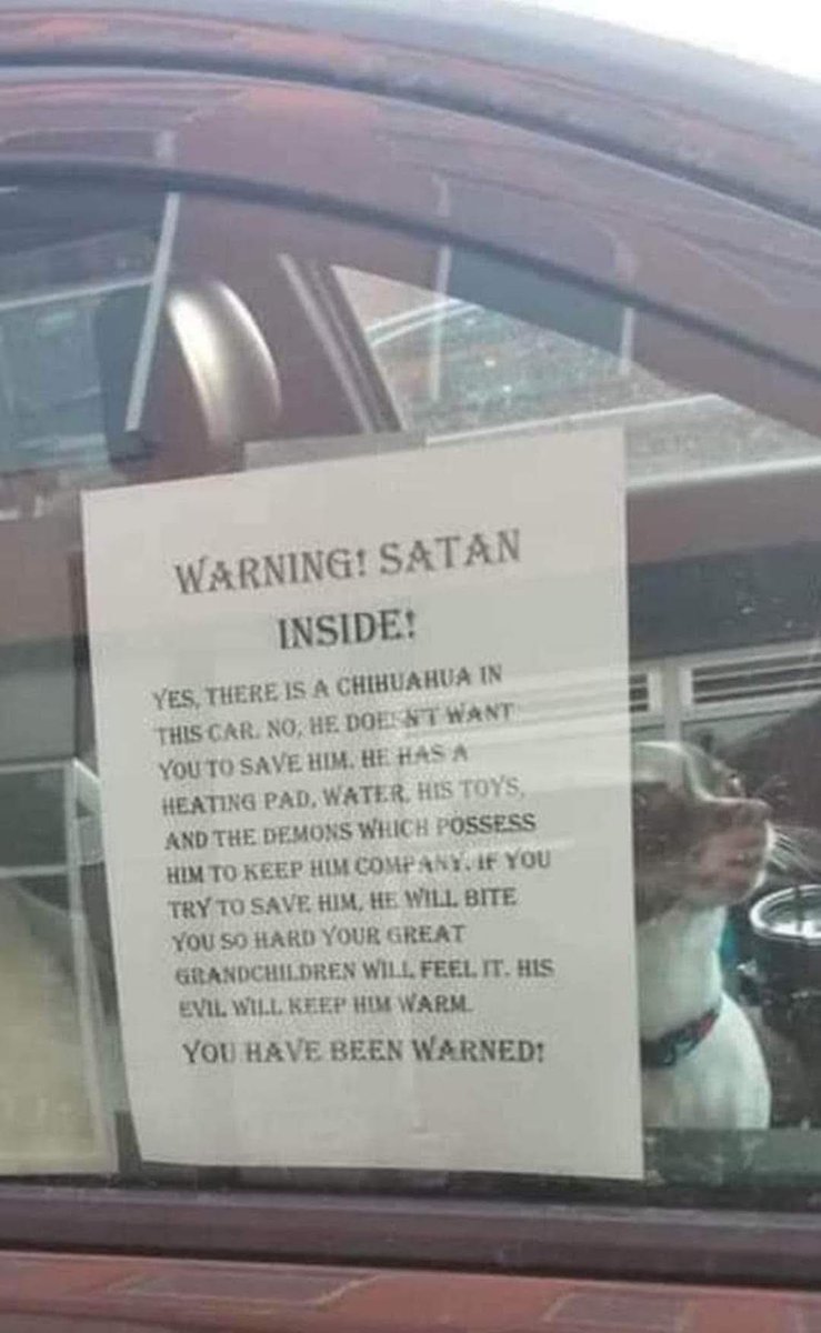 Hey <a href="/SavMondo/">Sav Mondo</a> is this your dog?