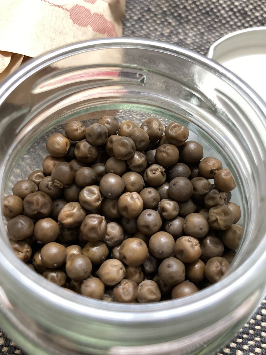 コミケん日に地元で買った生胡椒の塩漬けがマジのマジでウマくて、隙あらば一粒齧って「からーい！(ｷｬｯｷｬ」ってなってるw
辛さが鮮烈でたまらないッ！！！
ちょっと眠いなぁ…って時にもガツンと目覚ましに使えるから、これから制作煮詰まってくる私にはありがたいお品だ😇