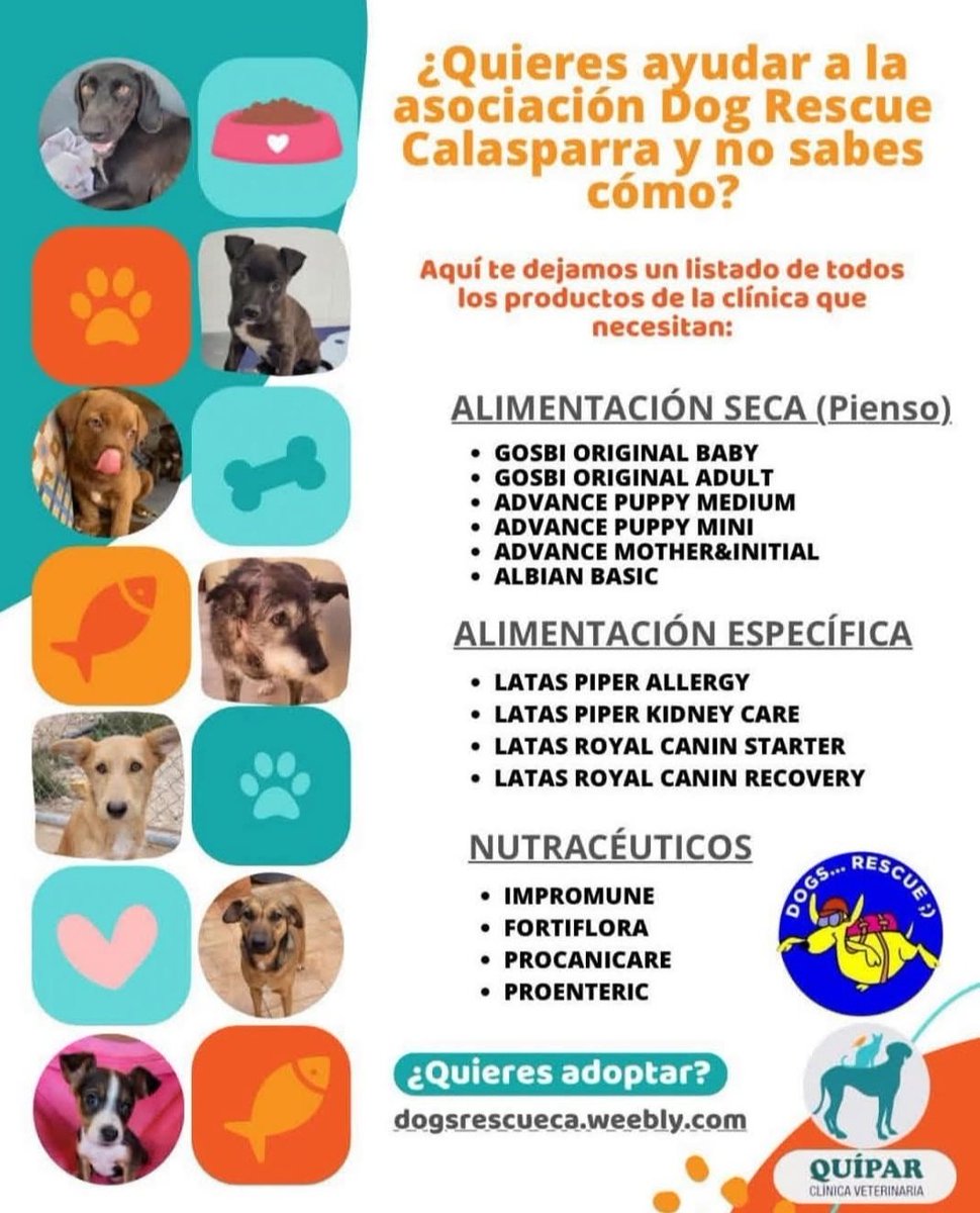 DOGS RESCUE (@dogsrescuec) on Twitter photo 