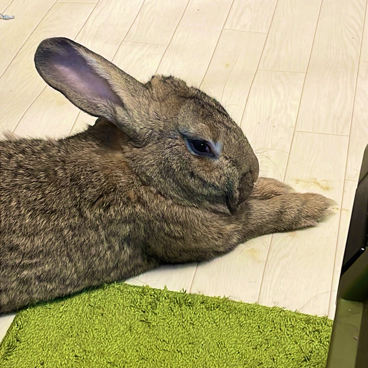 ใงใใใใงใใ@ใฆใตใฎในใญใผ๐ (@rem_0339) on Twitter photo ๆใฏใใฏใงใใ ใใฉ
ใใใซใกใฏใใใใฐใใฏใฏใฉใใใใใใชโบ๏ธ
ใใใงใโบ๏ธ ๆใฏใใฏใงใใ ใใฉ
ใใใซใกใฏใใใใฐใใฏใฏใฉใใใใใใชโบ๏ธ
ใใใงใโบ๏ธ