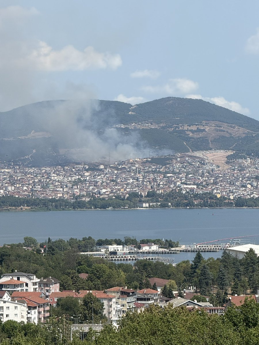 Derince tarafında, ormanlık bir bölgede yangın başladı. #yangın #kocaeliyanıyor #yangınvar #kocaeli