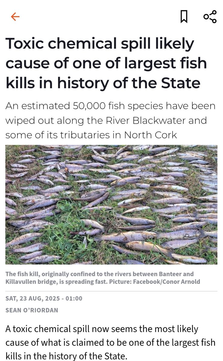 This is f*ckin disgusting, we knew about the damage to nature from pesticides, chemicals, insecticides etc. back in 1962 thru' Silent Spring but here we are in 2025
I love the River Blackwater &amp; used to occasionally 'doggy-paddle' there as teen with my Dad
This is all about greed