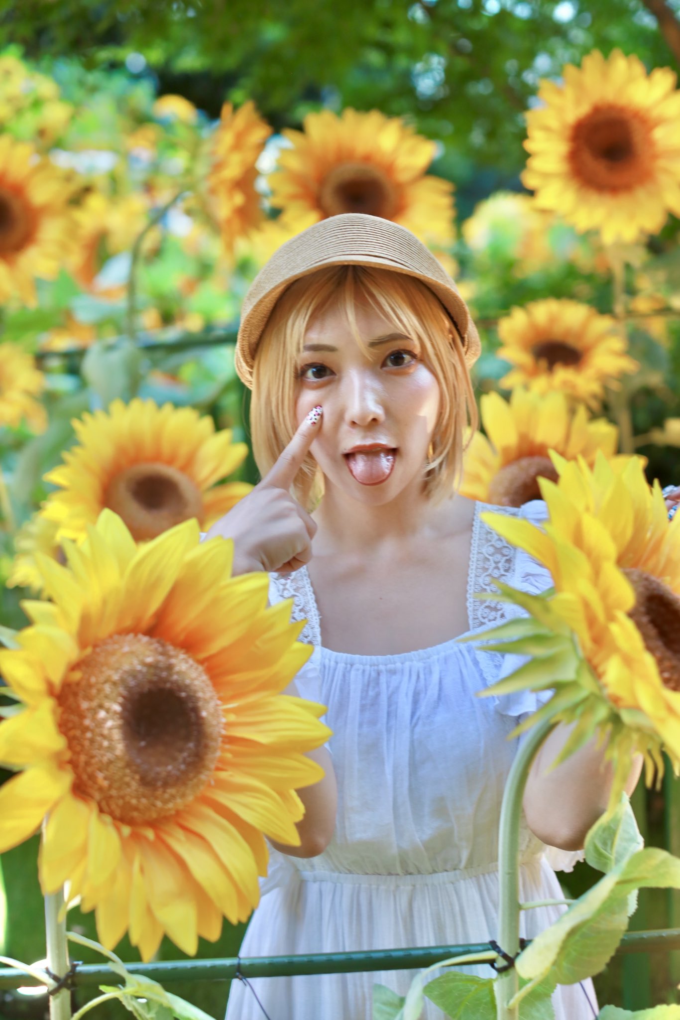 ひまわりページです•*¨*•.¸¸☆ Amazon.co.jp: ひまわり: ミュージック