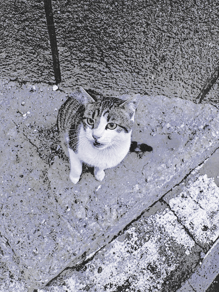 Charles. tweet media