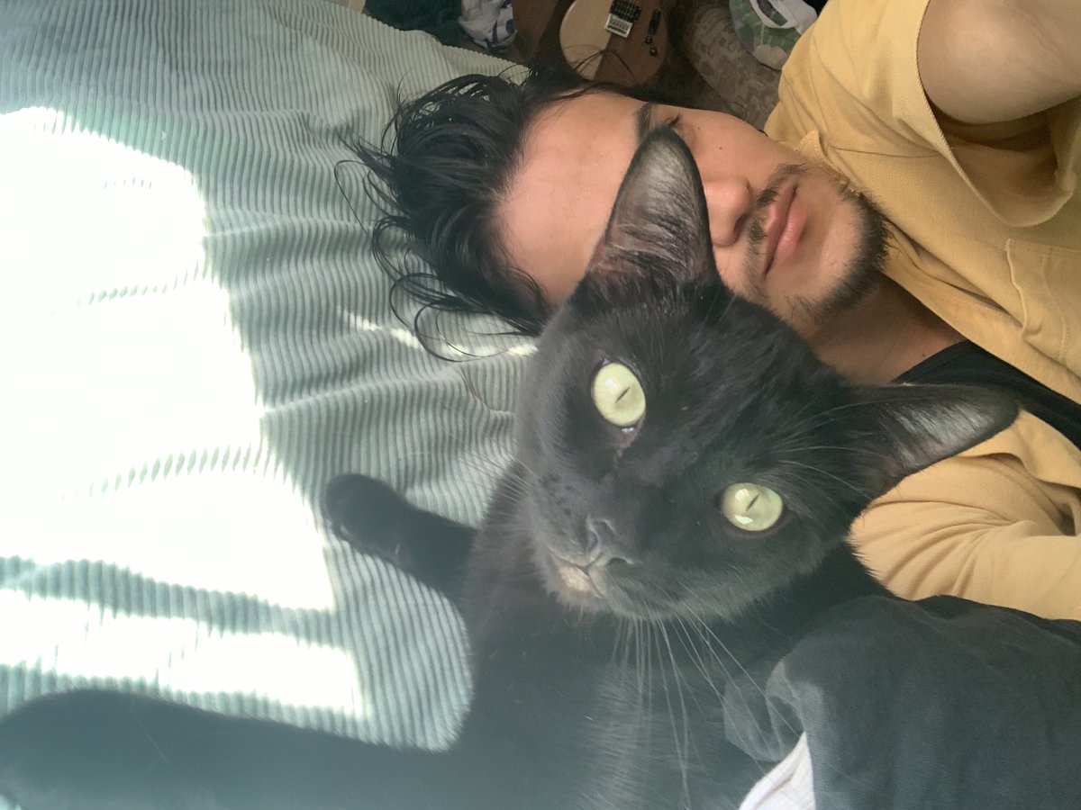 JuneperBug's tweet image. Captain knuckles ʕʘ‿ʘʔ