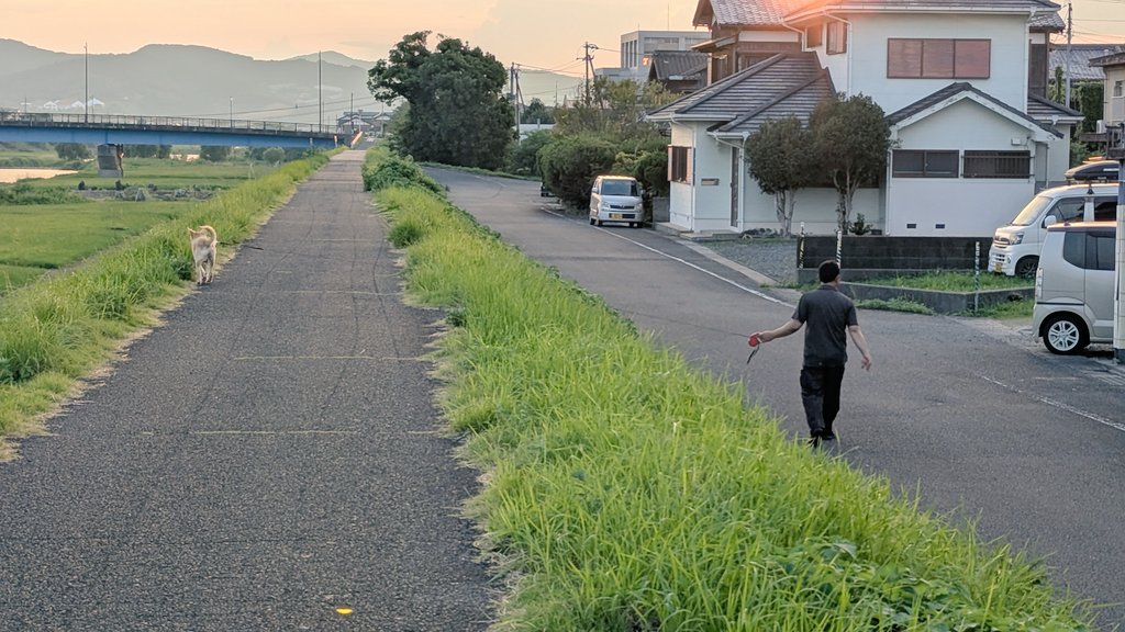 夫と犬の散歩
両者全く譲らなくて草