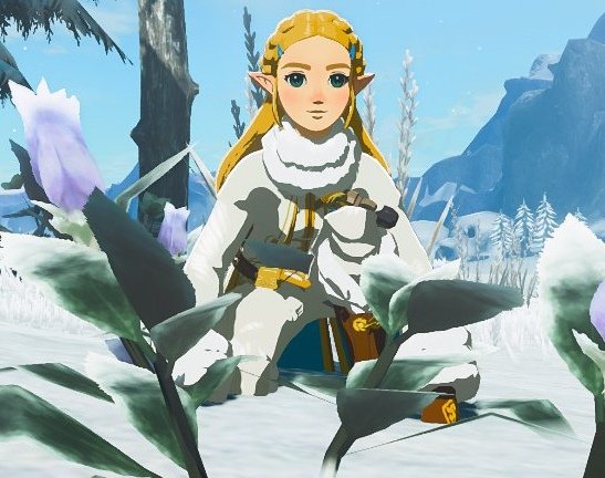 Botw Zelda in her cute winter attire🩵❄️
