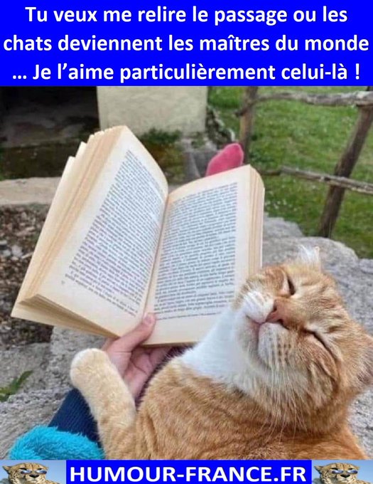 text alternatif