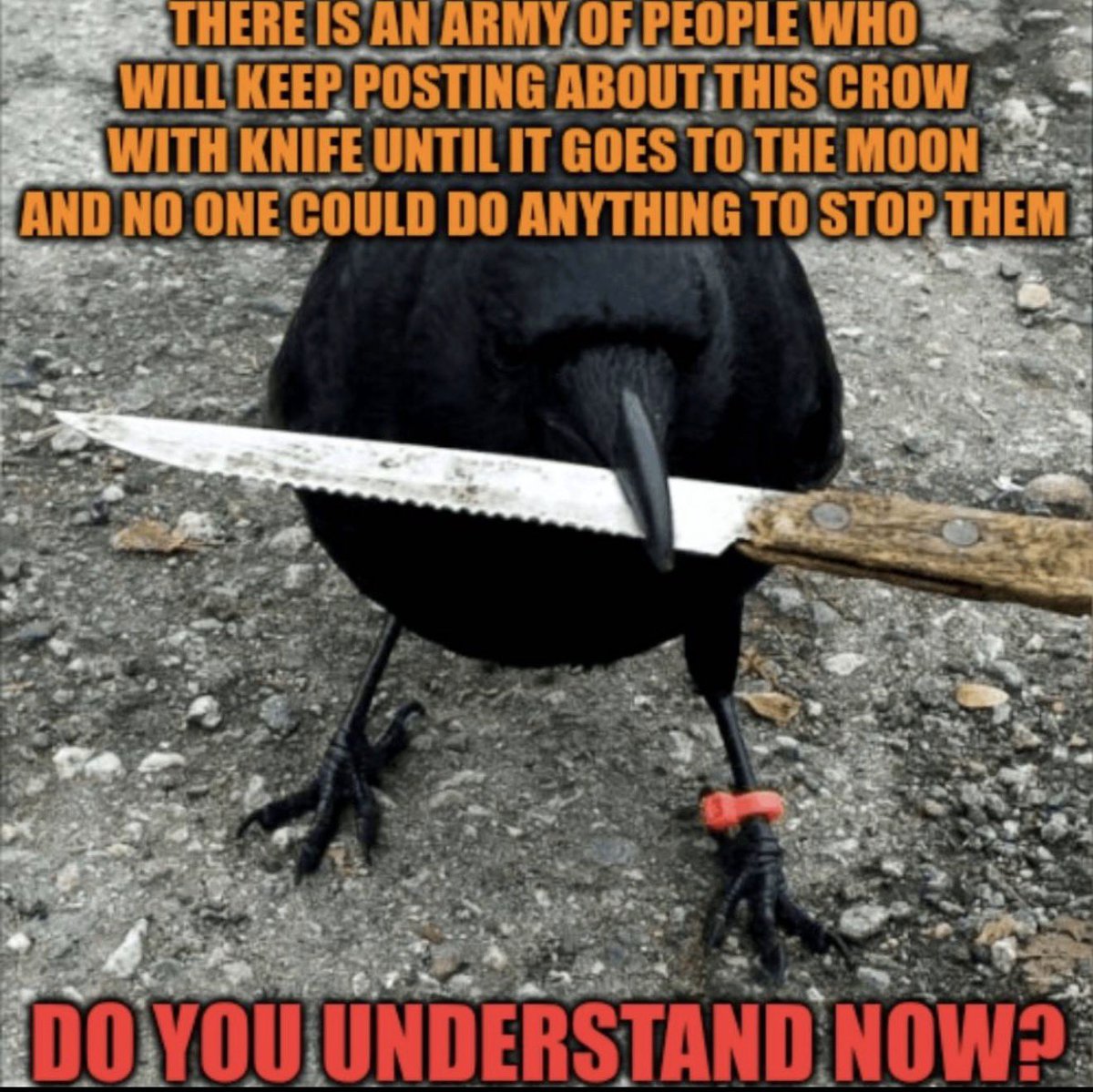 Simple message CULT like ARMY $CAW caw
