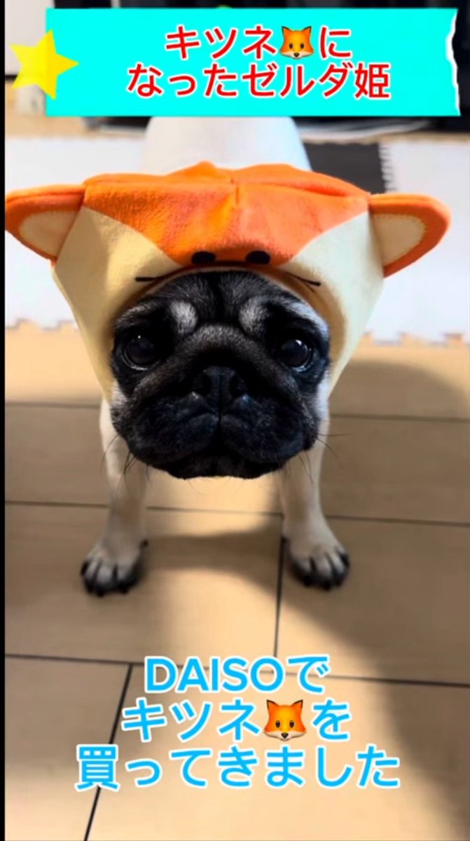 かぶり物のゼルダ姫

youtu.be/jZpmTPLQxwg?si…