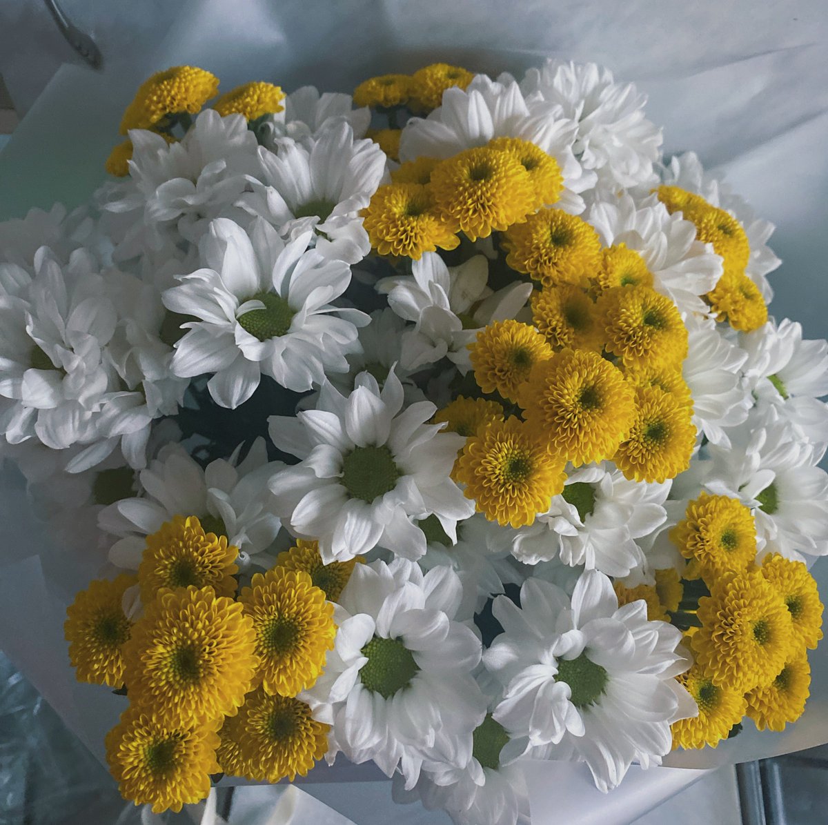 Эстетика вашей жизни при условии, что фотографиям не более месяца