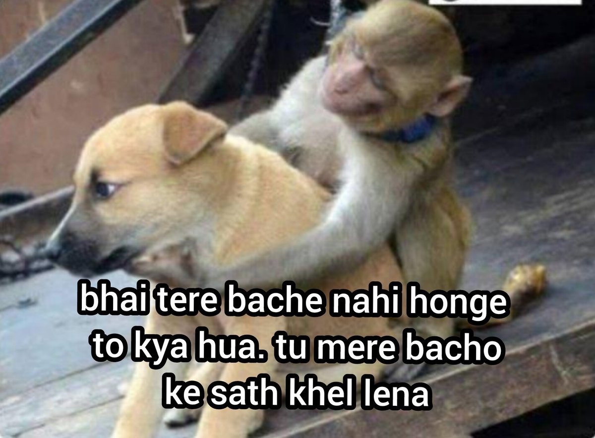dogesh bhai Ka vansh Kaun badhayega 😮‍💨