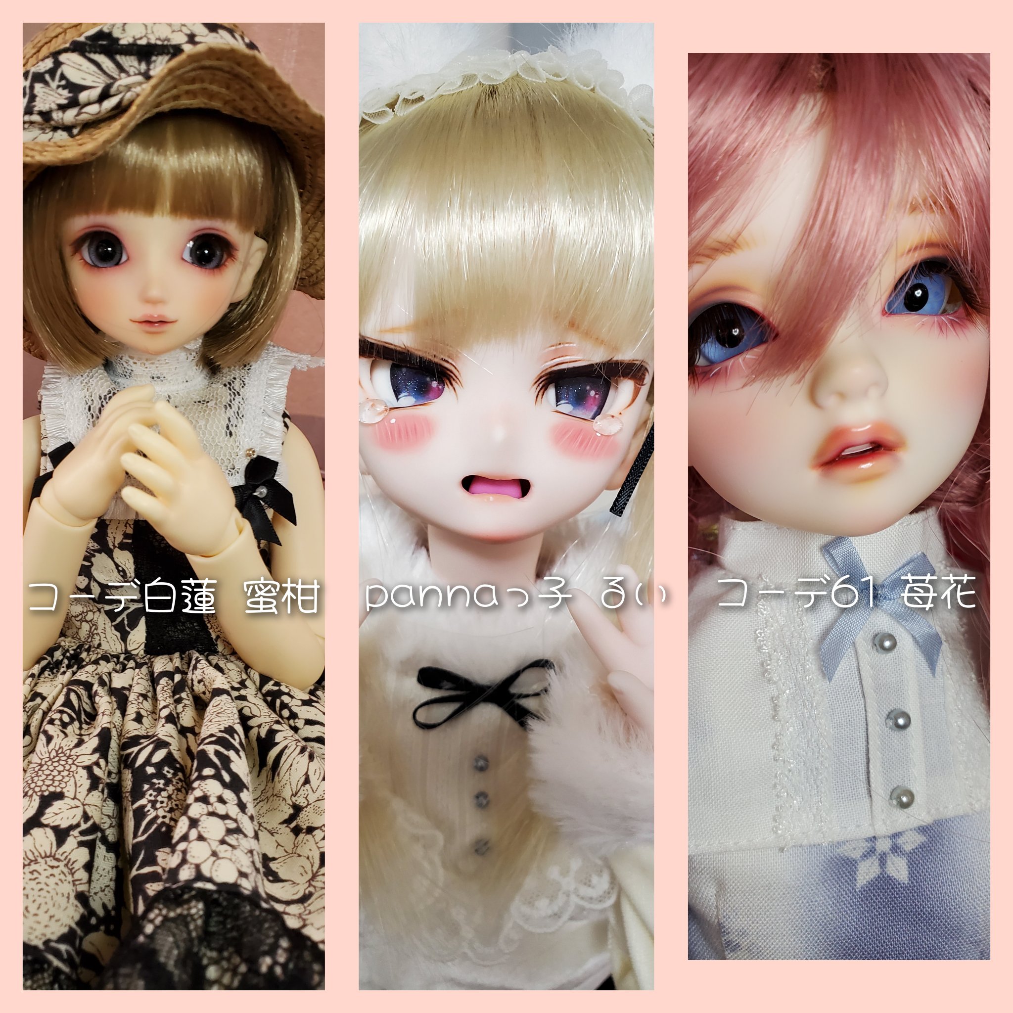 カプセルドール　カスタム　（きのこバージョン） 期間限定】Titk｜DOLK（ドルク）