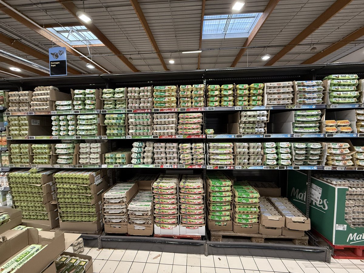 vicstrd's tweet image. Avis facing la team ^^