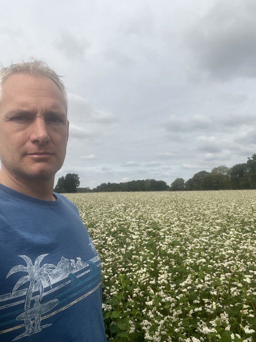 Tom Jewers tweet media