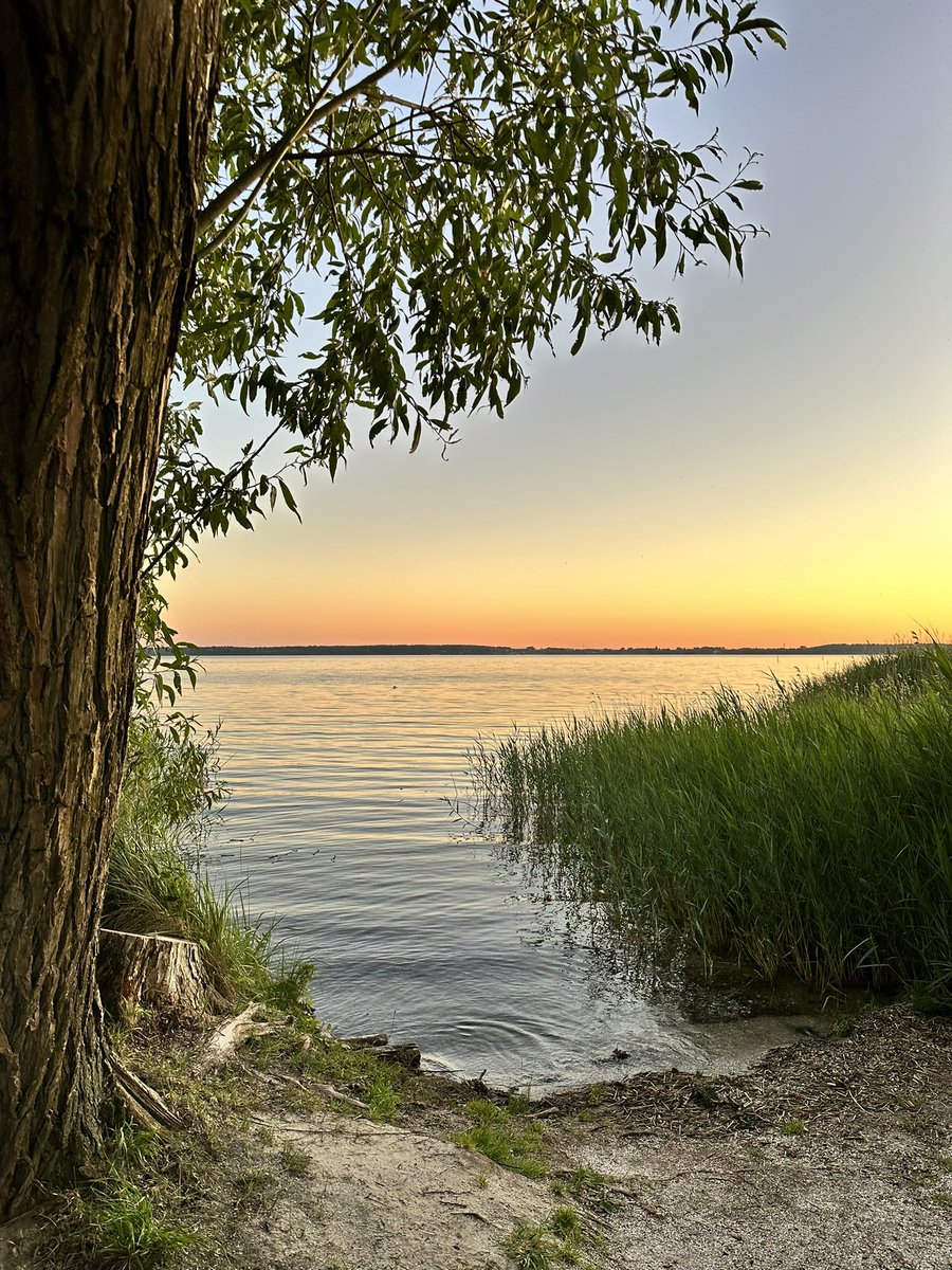 MALTAIGOZO.PL tweet media