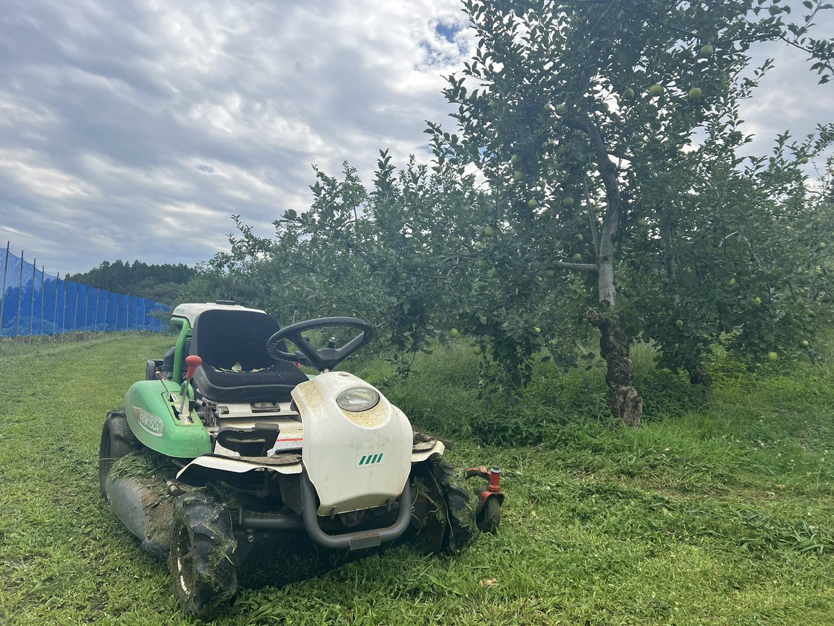 今日は月一の草刈り日です。
雨が降るようになったので草ばかり伸びますね。
着色管理班はつがるの葉摘みをしていました🍎

#りんご　#盛岡