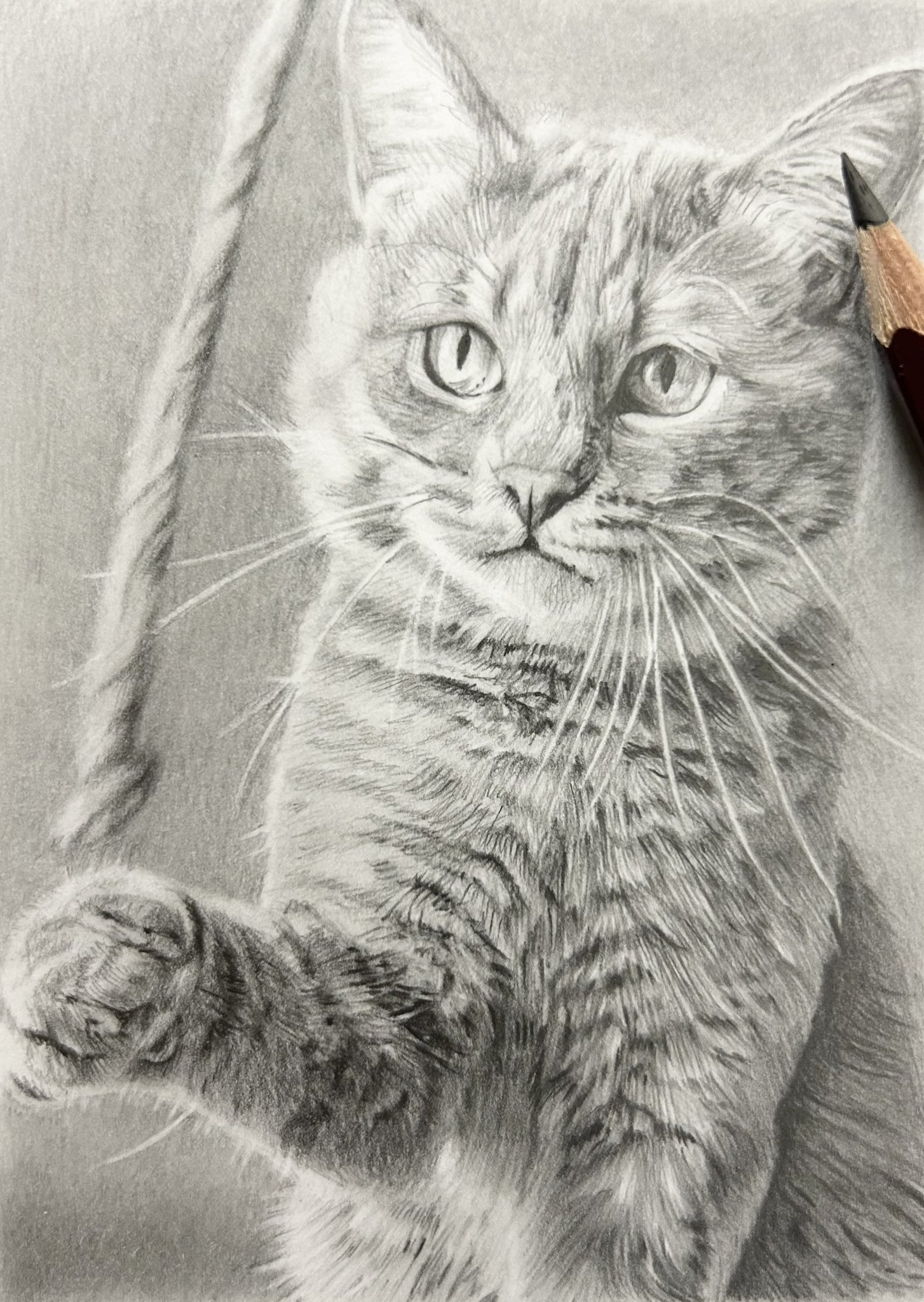 ふんわり子猫のまなざし(鉛筆画)(A4サイズ)(額無し) 猫の絵 鉛筆画（額なし） - メルカリ