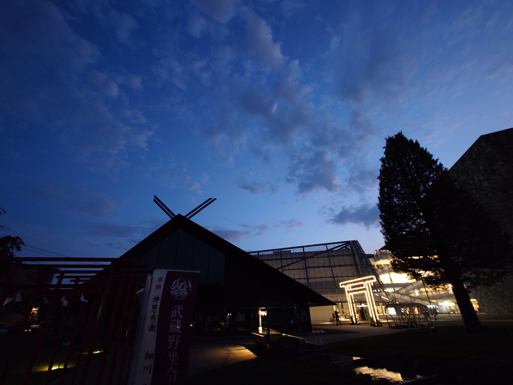 あきにゃん🐈 (@a_ki_nya_n) / X