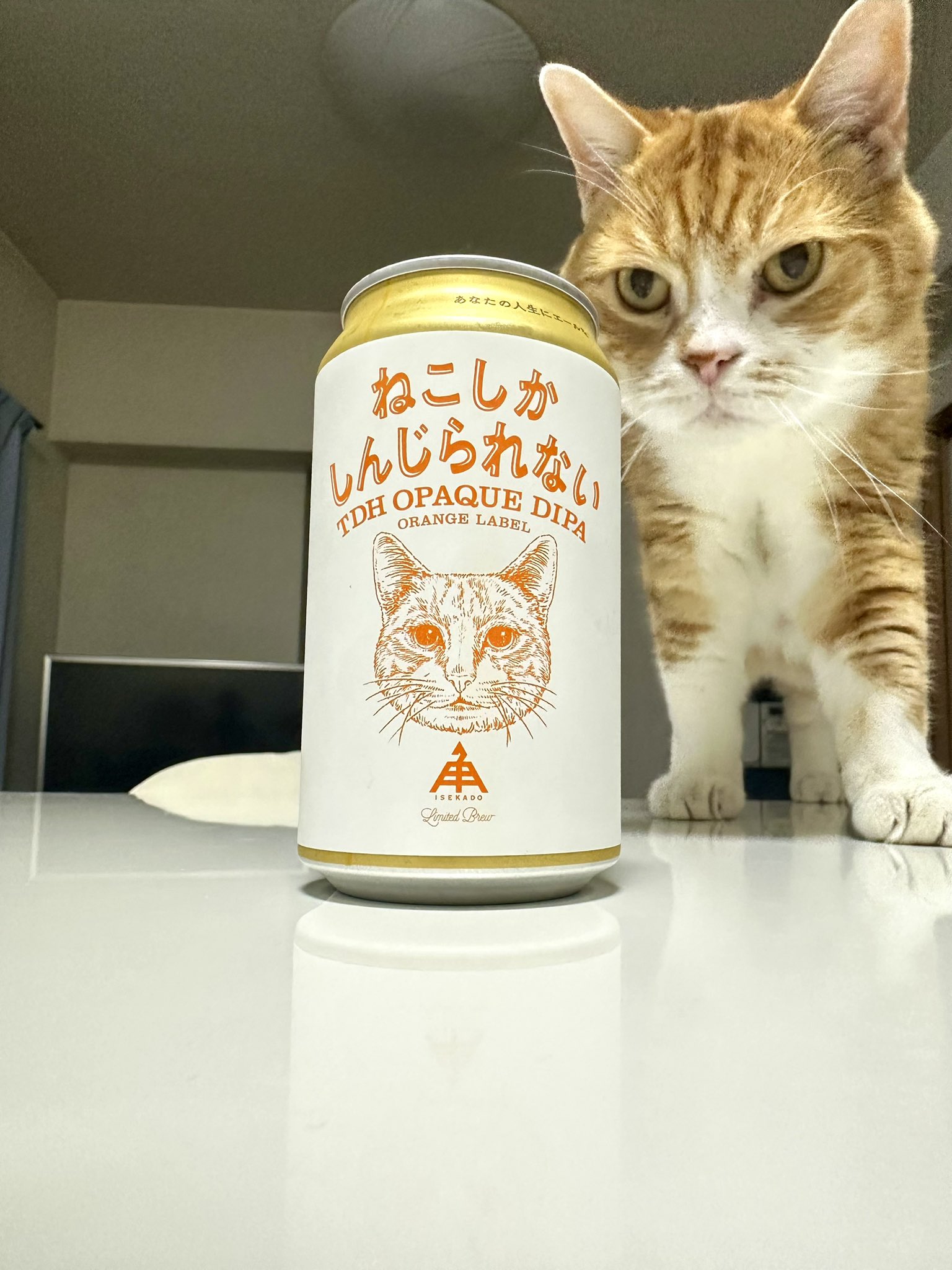 ねこここ様  専用 Amazon | 新東北化学工業 猫砂 フォーキャットラクラクサンド 4L