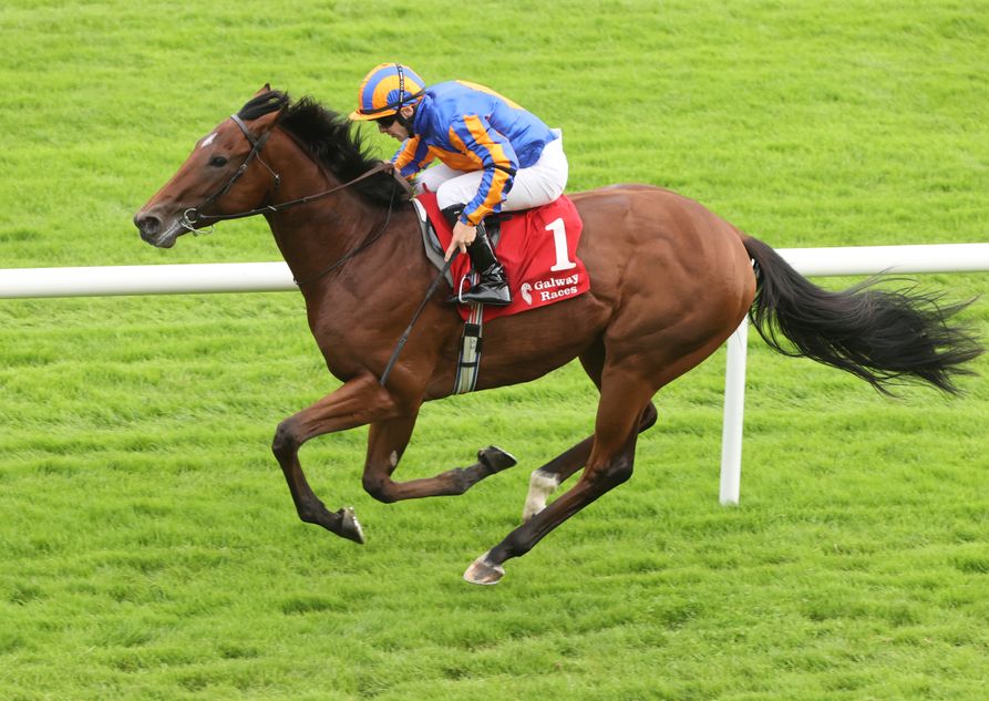 Constitution River stars for his sire Wootton Bassett in the appropriately-named Coolmore Stud Wootton Bassett Tom Cooper Irish EBF Futurity Stakes

A €400,000 signing by MV Magnier from Arqana last year, he's out of a sister to Group 1 winner Wonderful Tonight