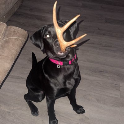 LikewiseXSE's tweet photo. #NewProfilePic https://t.co/rEimuuCXfv