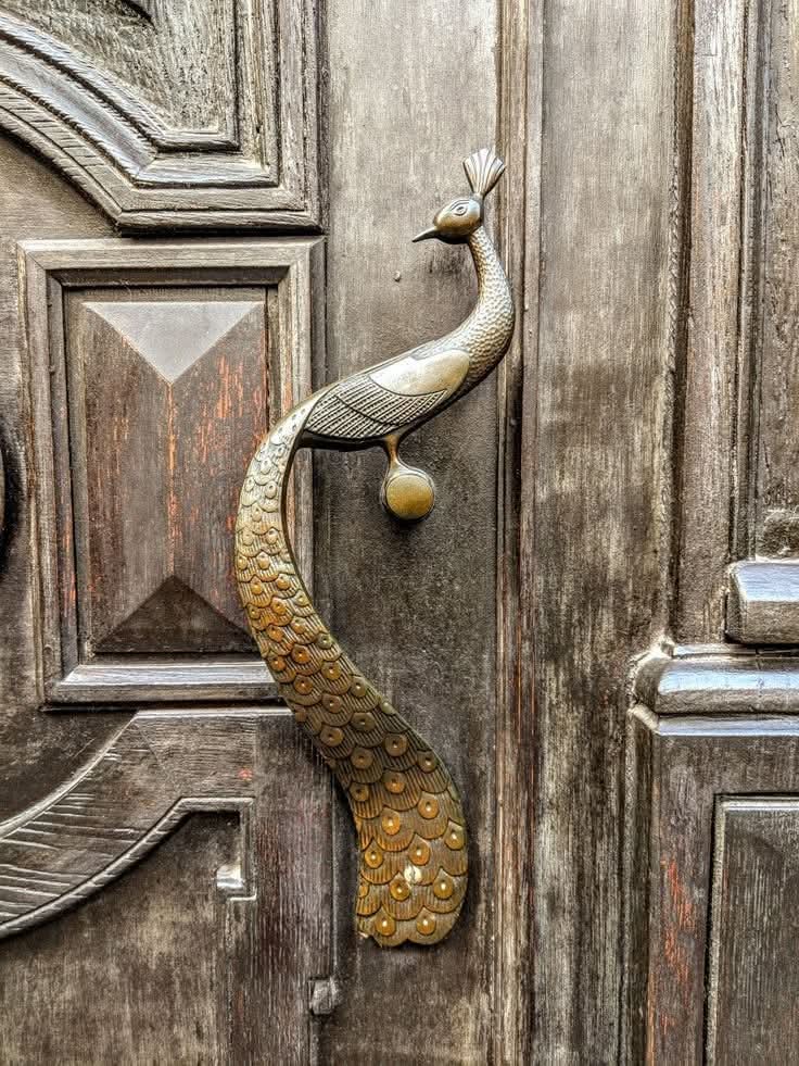 A decorative peacock-shaped door handle.