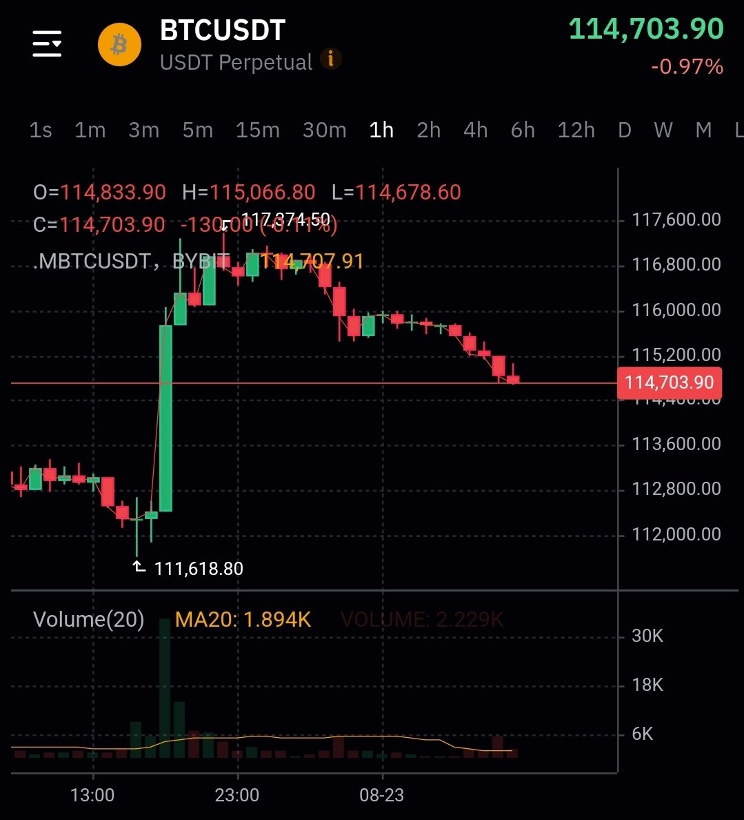 WhalePanda tweet media