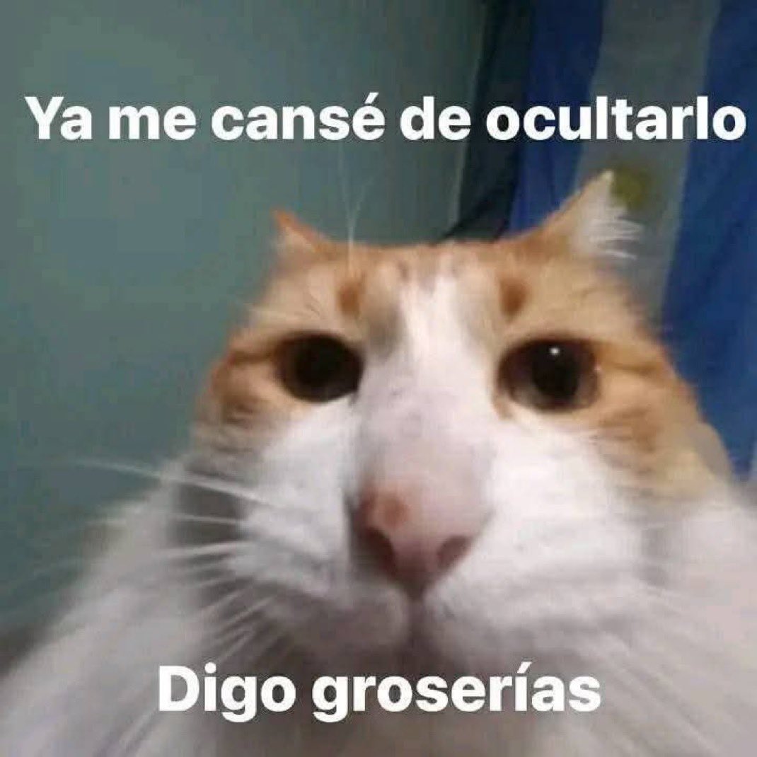 piña sin pizza (@skereunpesado) on Twitter photo 