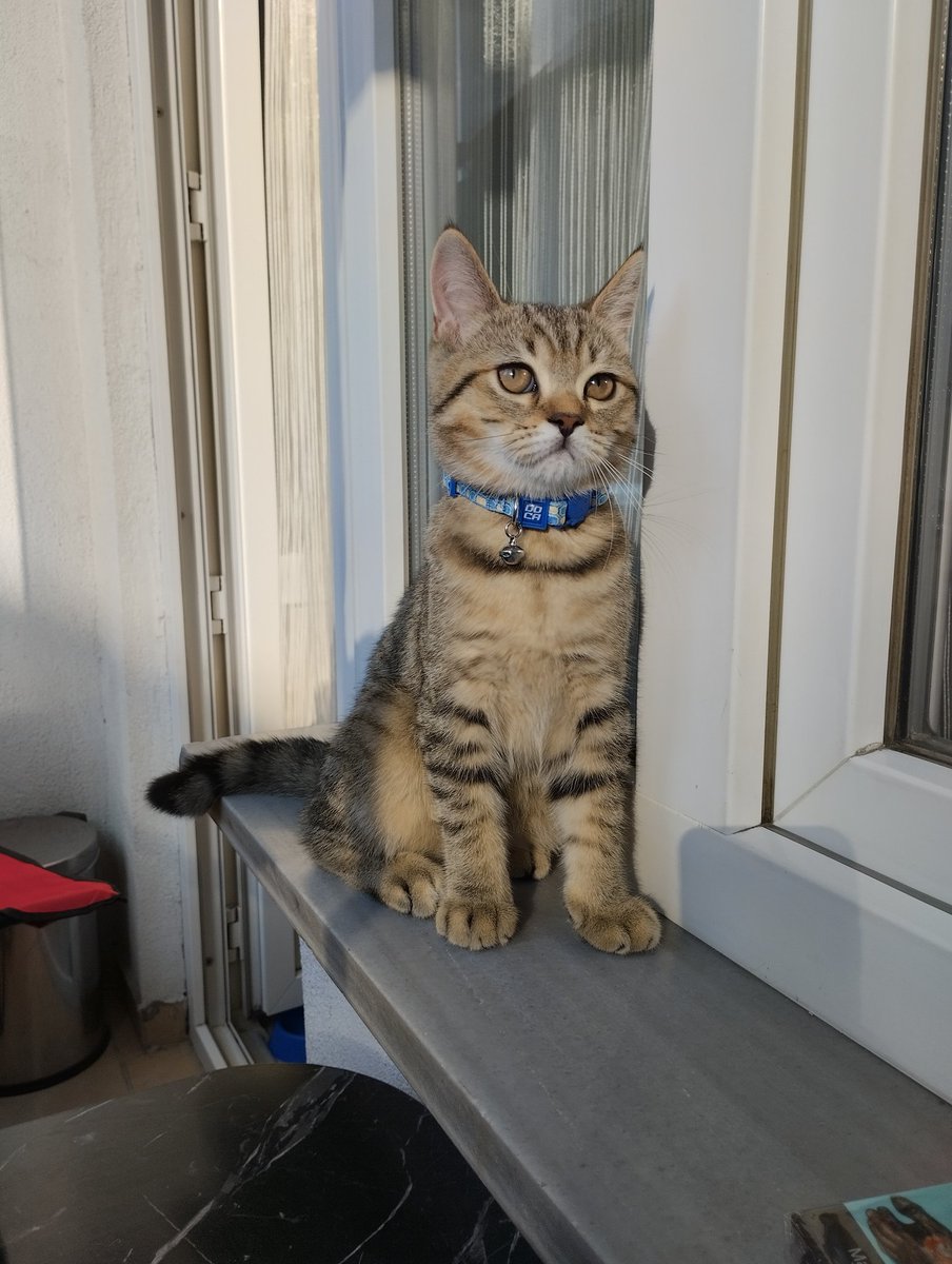 Yicem birazdan bu şerefsizi 🥰🥰