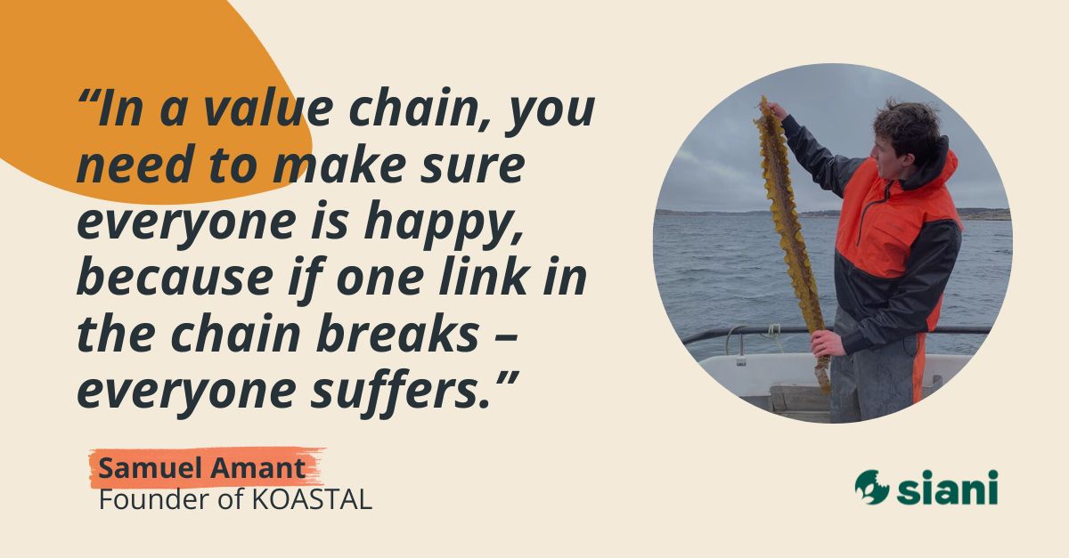 SIANIAgri's tweet image. BLOG POST |

How do you grow a #Seaweed franchise across borders while ensuring #LocalStewardship? 🎣

In SIANI's new blog post, Samuel Amant, founder of Koastal, shares how they balance scaling up with community ownership.

Read the interview: buff.ly/iqCNwuB